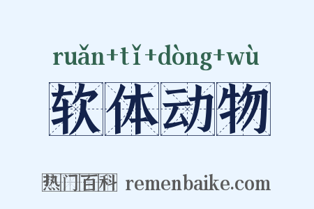 软体动物是什么意思的图片
